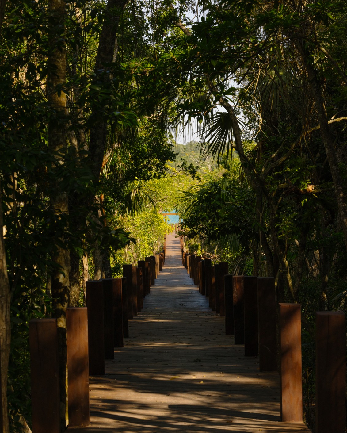 011 Rodrigo Juarez Jungle Pier