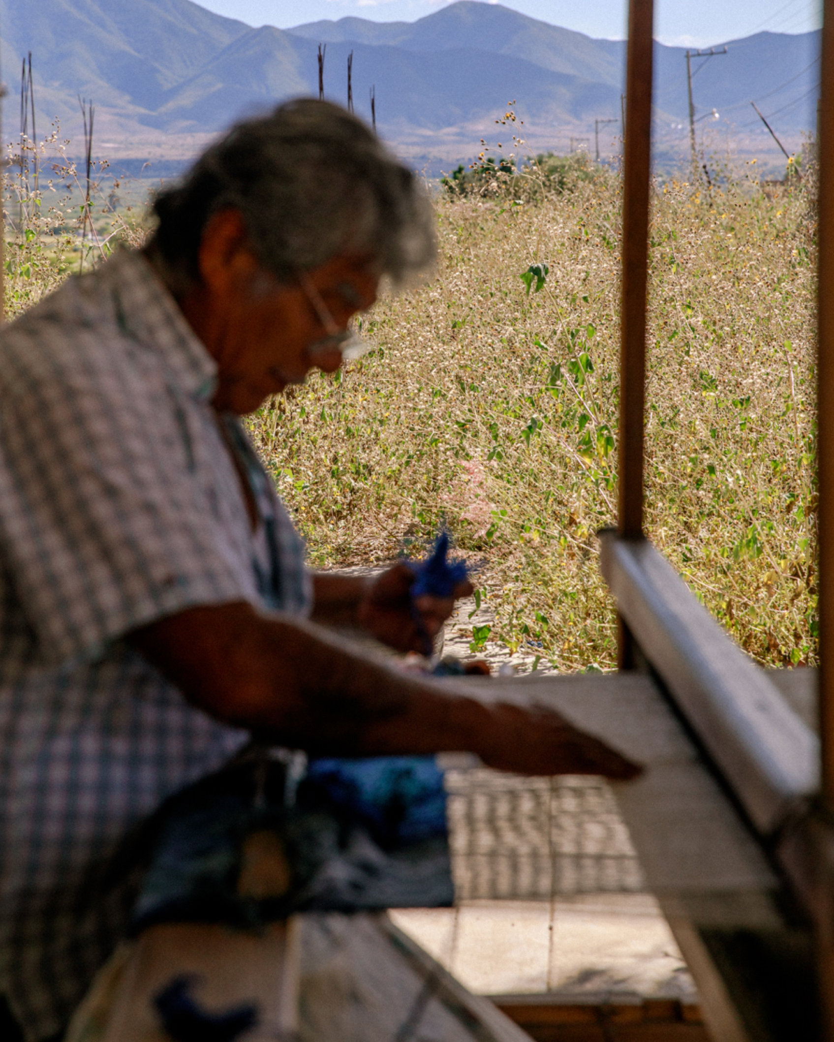008 Mexico III Oaxaca Waving