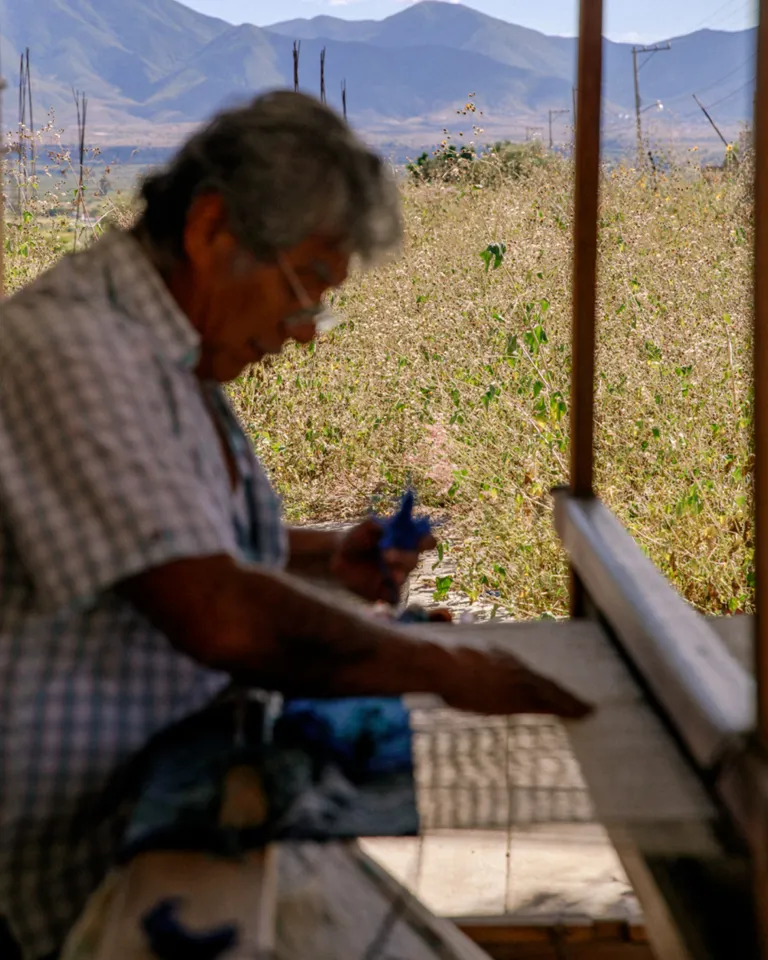 008 Mexico III Oaxaca Waving