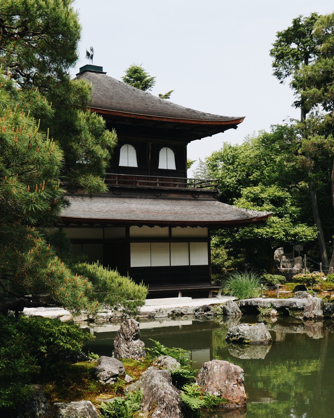 DH Japan Bullet Train 07