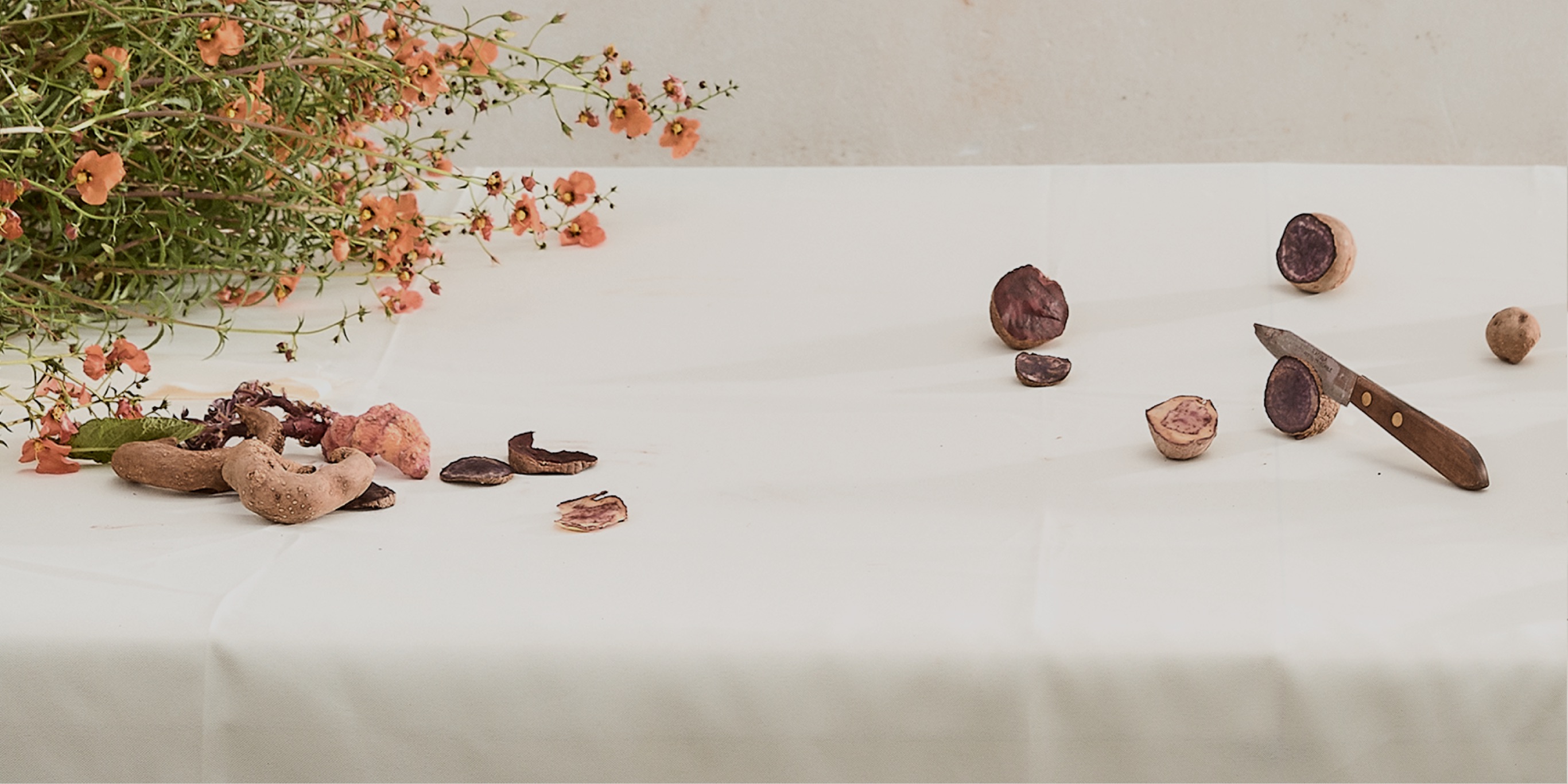 Pachamama's Land Part III 001