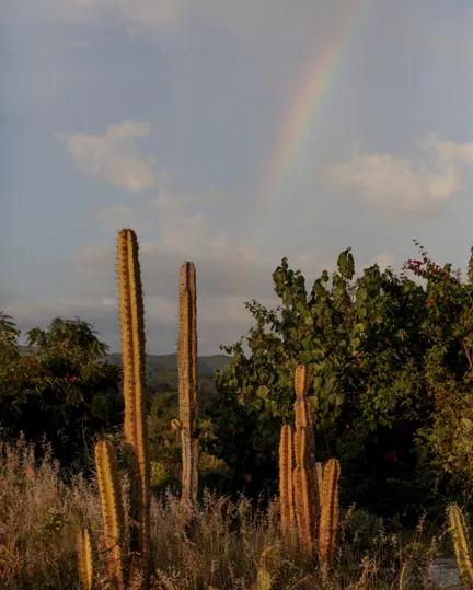 29 Oaxaca Guide