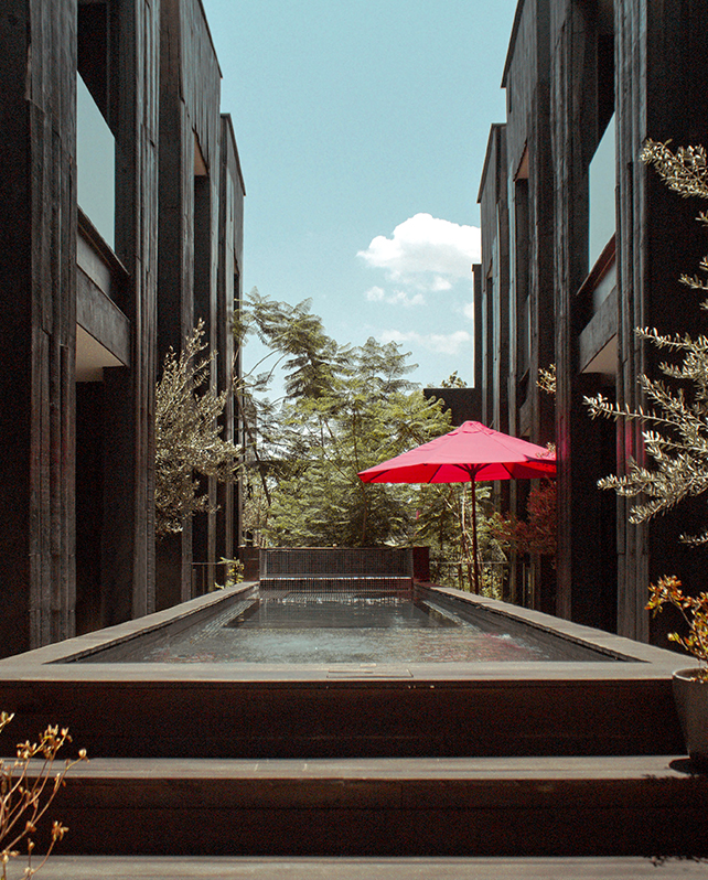 Elena De Cobre Usp 1 (1)