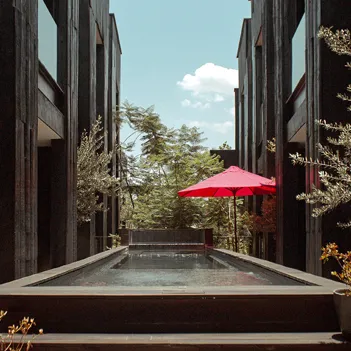 Elena De Cobre Usp 1 (1)