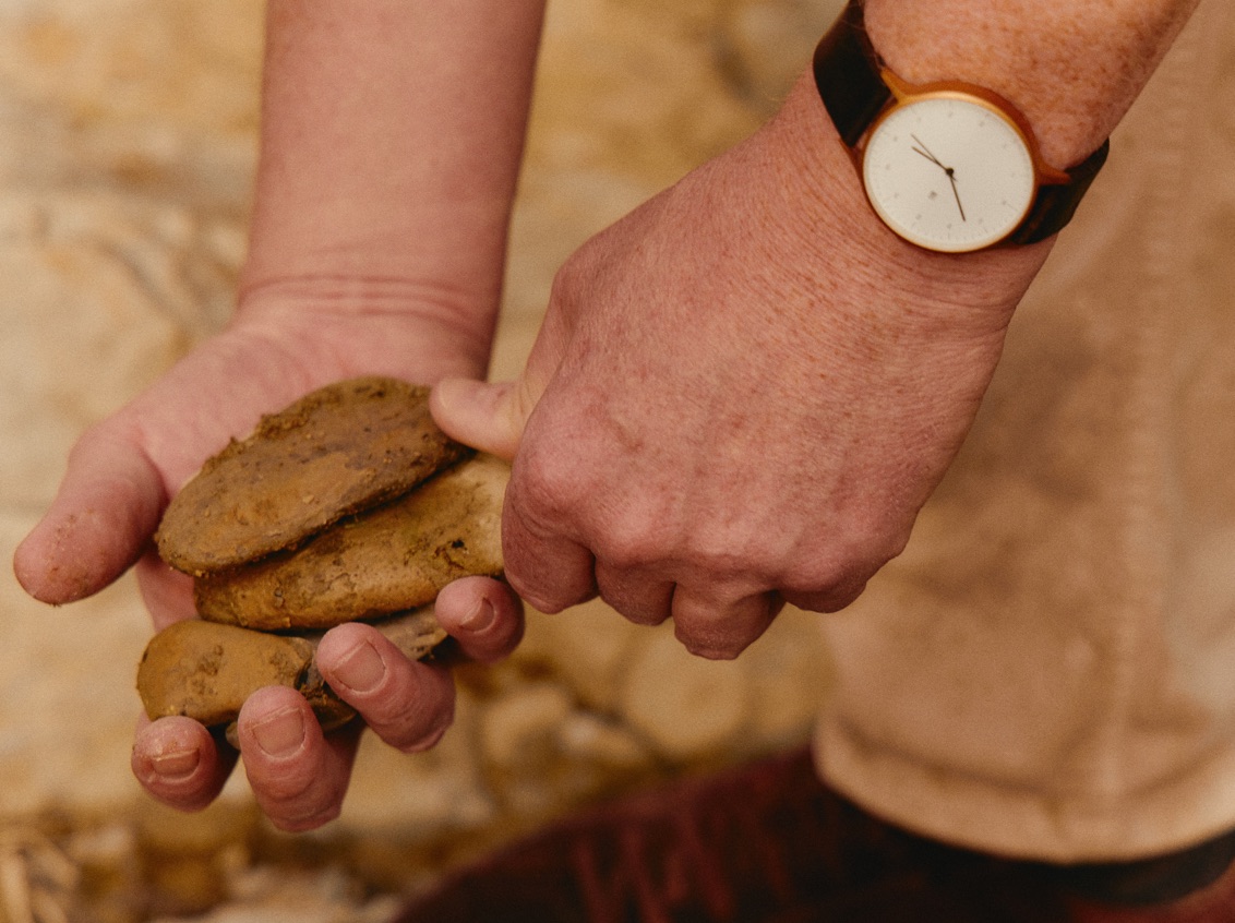 018 MBO Vocabolo Moscatelli