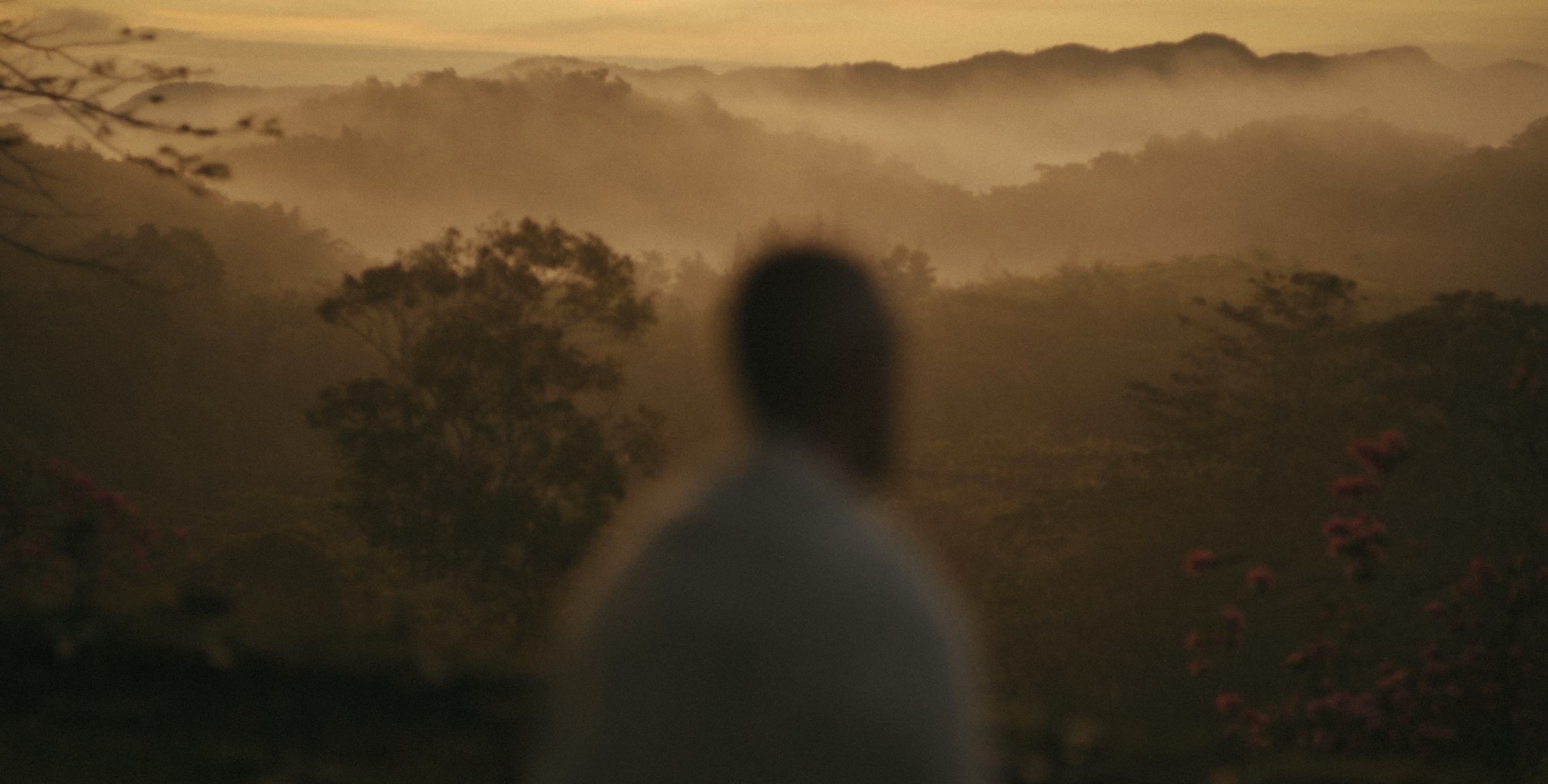 08 Interview With Neil Markey