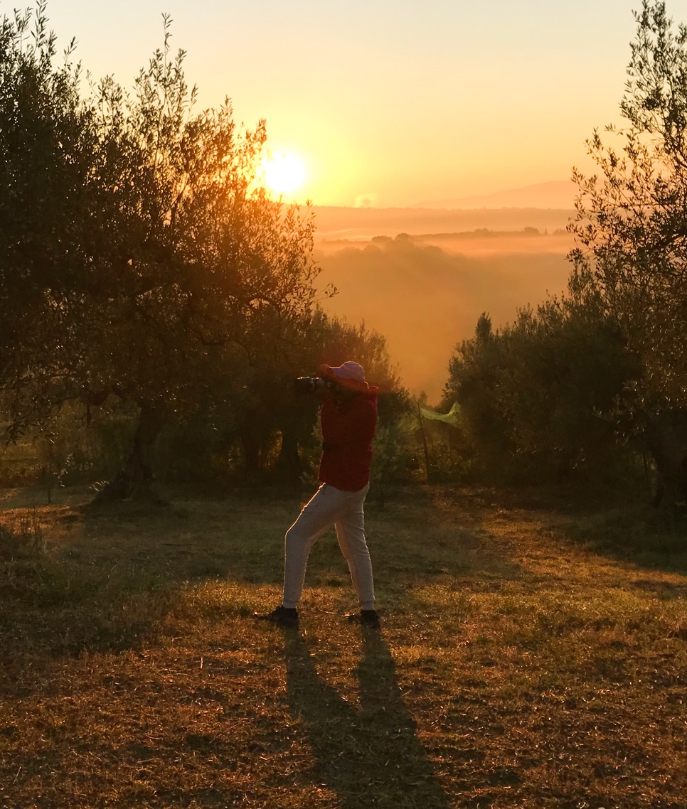 003 Art Prints II BP