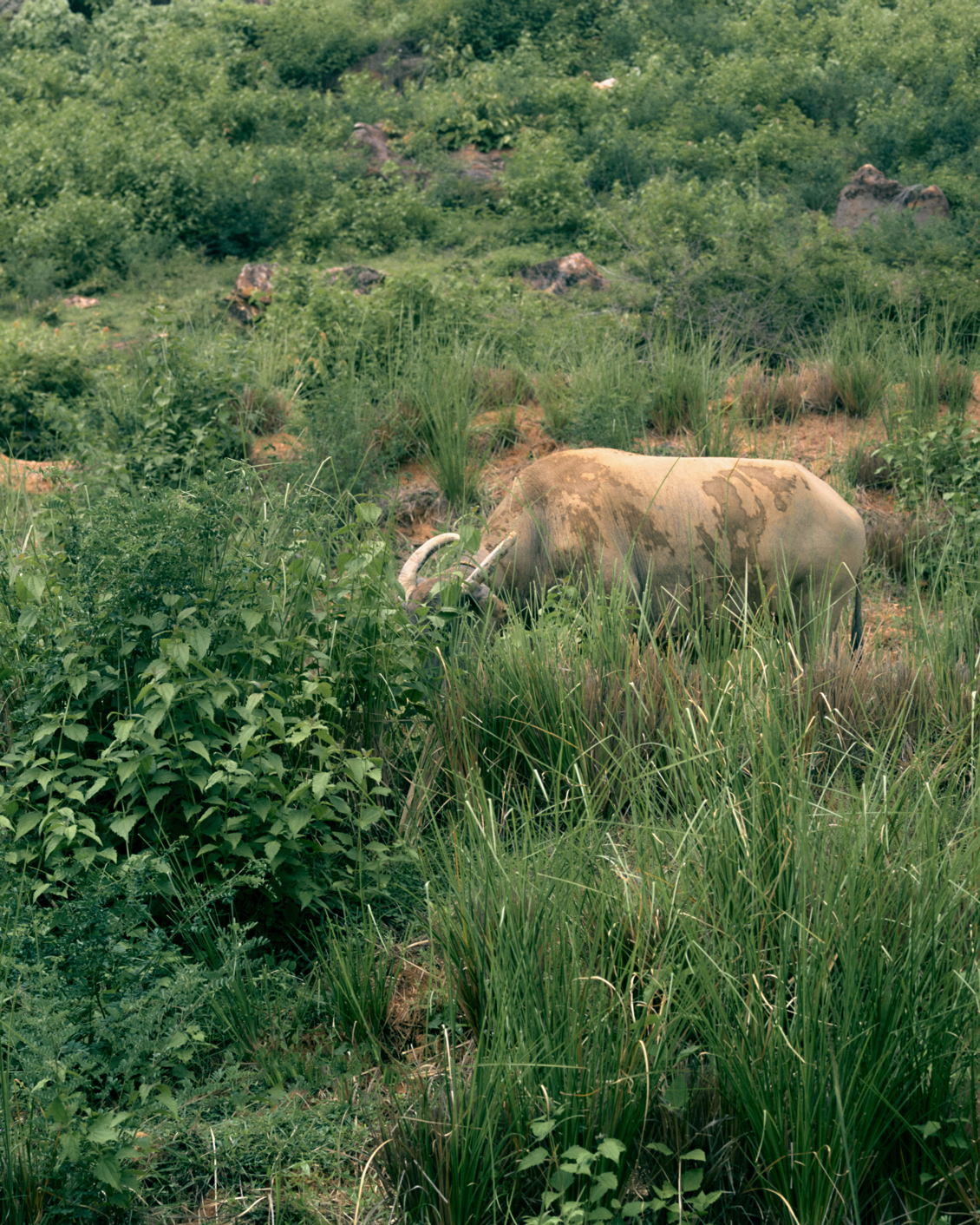 09 MBO Somewhere Lombok