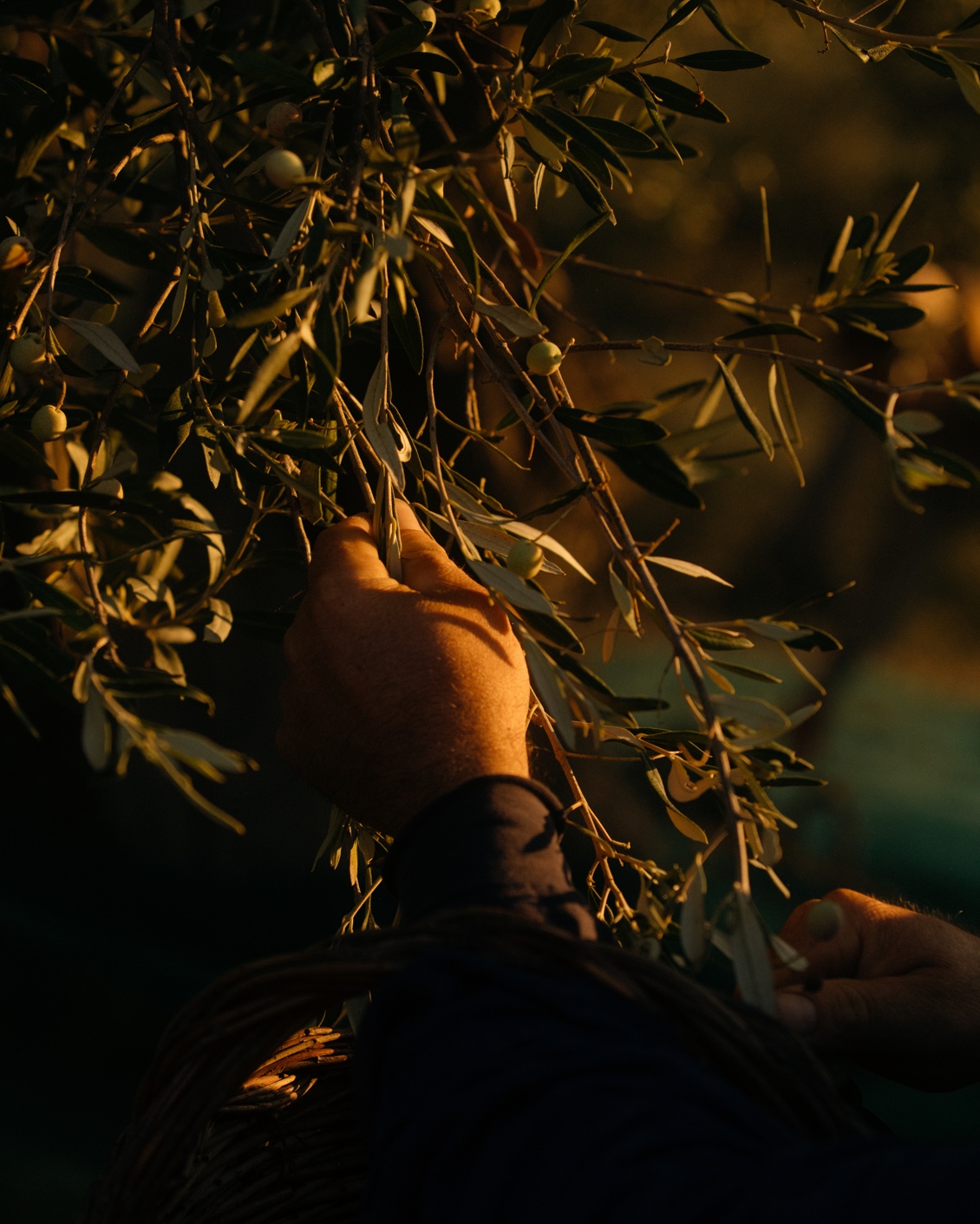 05 Culture Blogpost Sweet Tooth