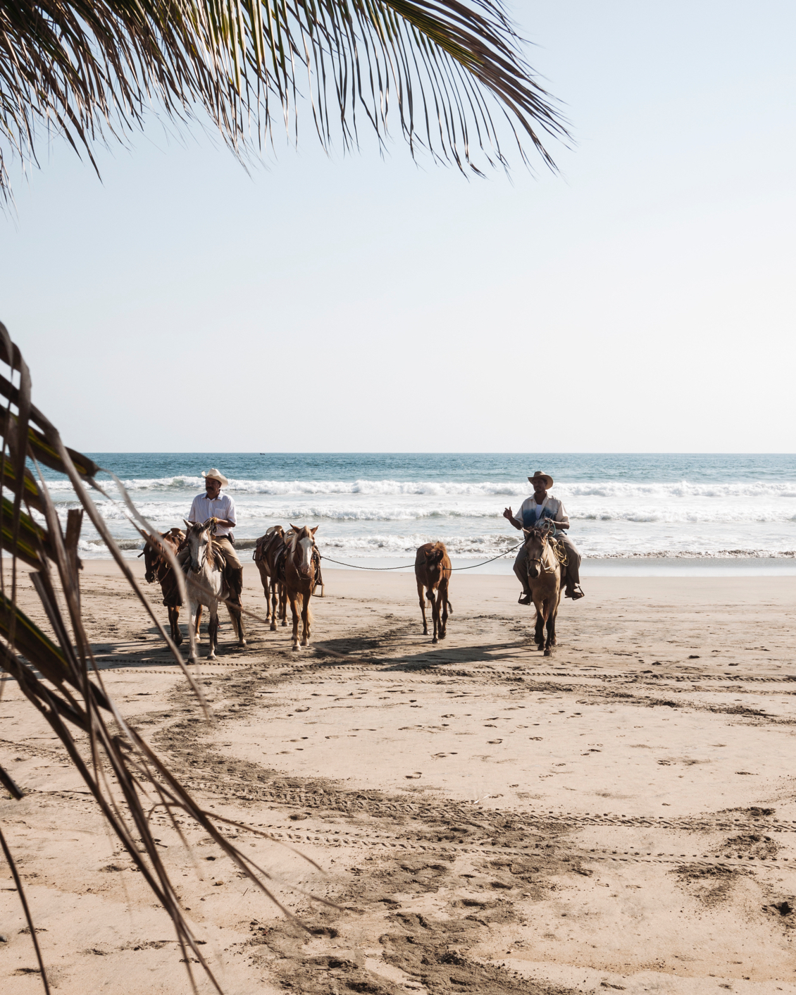003 Lo Sereno Casa De Playa Beach Horses