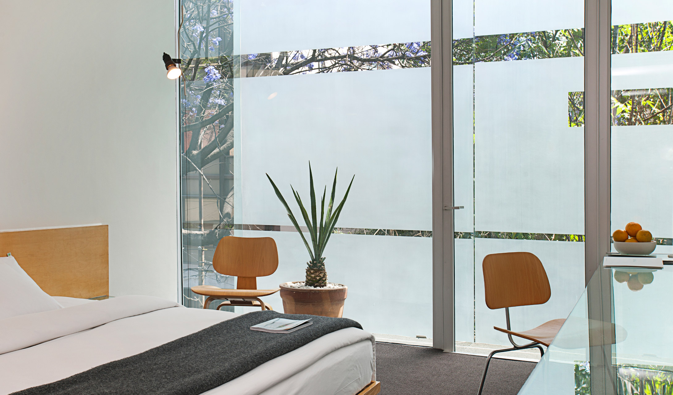Habita Guestroom in Mexico City