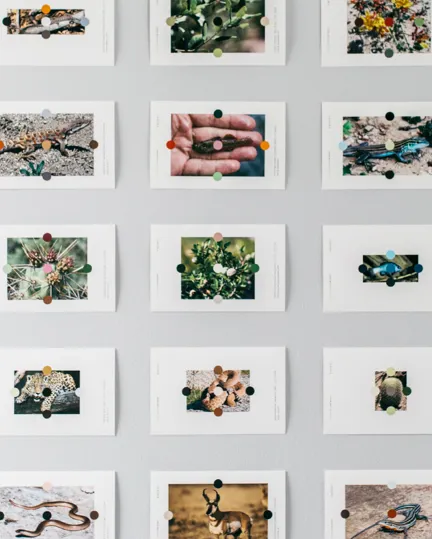 03 Further Marfa Erick Left