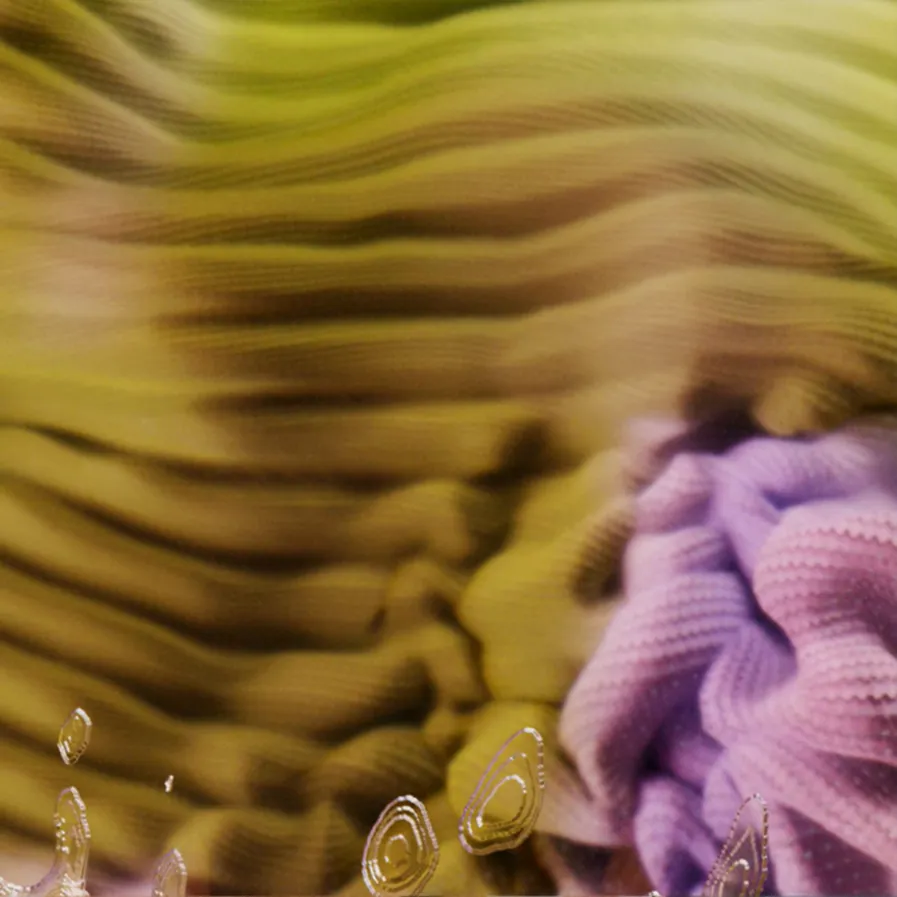 Further Insights Page Interviews With Shane Oflaherty (1)