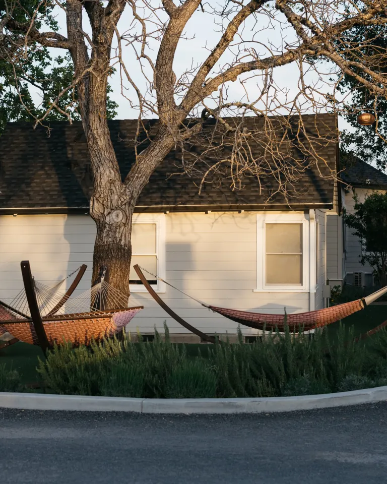 009 MBO Dr Wilkinson