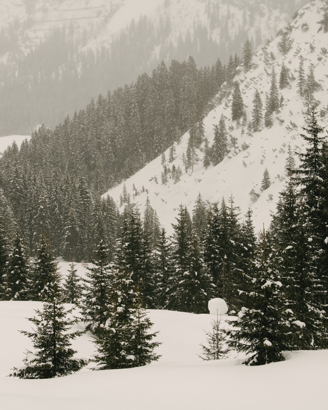 003 Rote Wand Walch Landscape