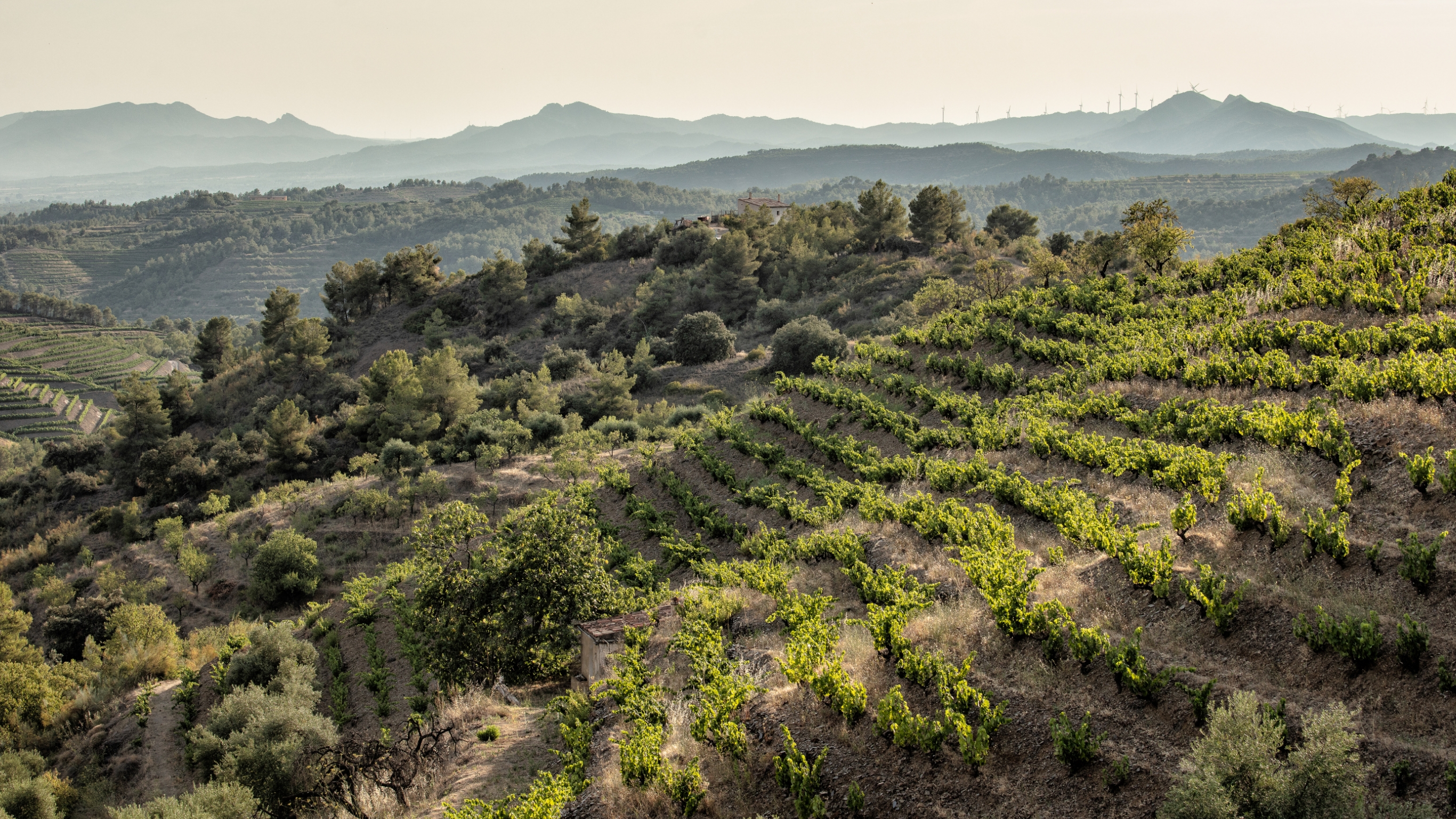 Where To Go 2024 08.2