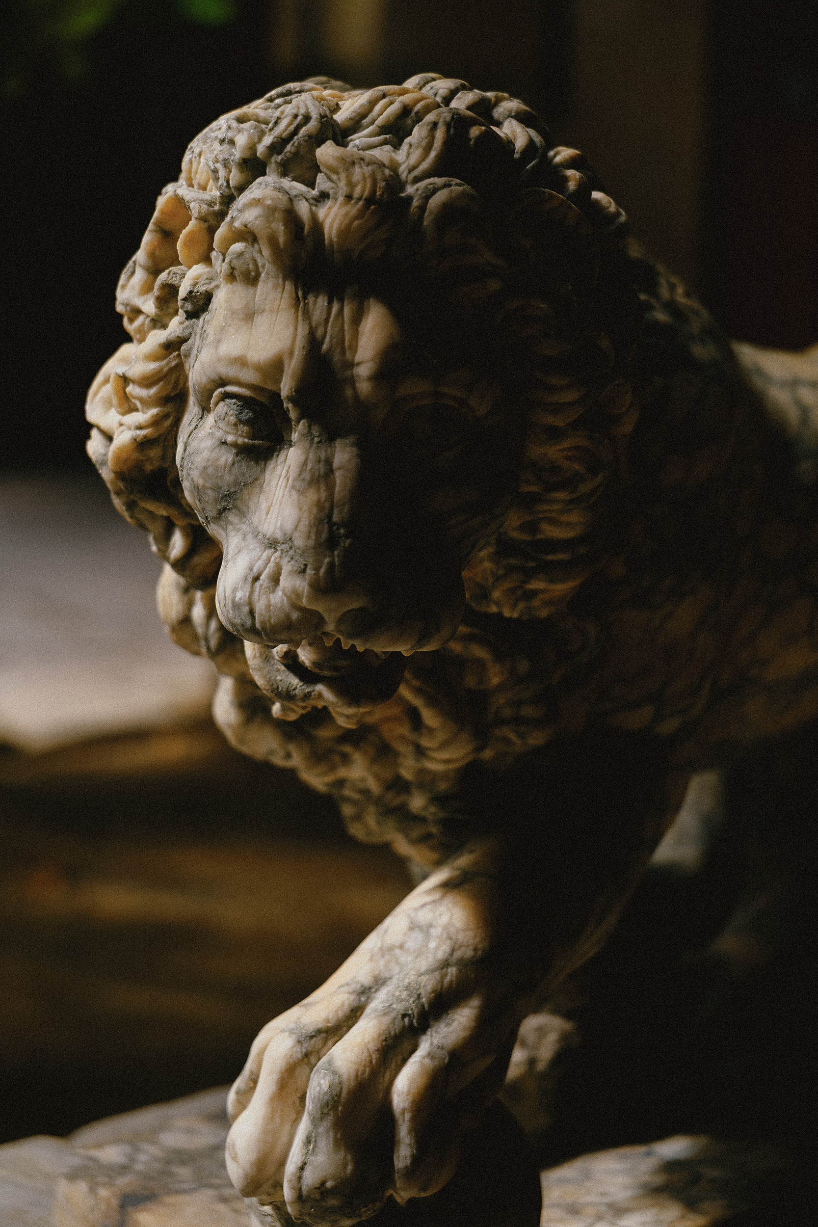 G 12 Hotel Sevilla Merida Mexico