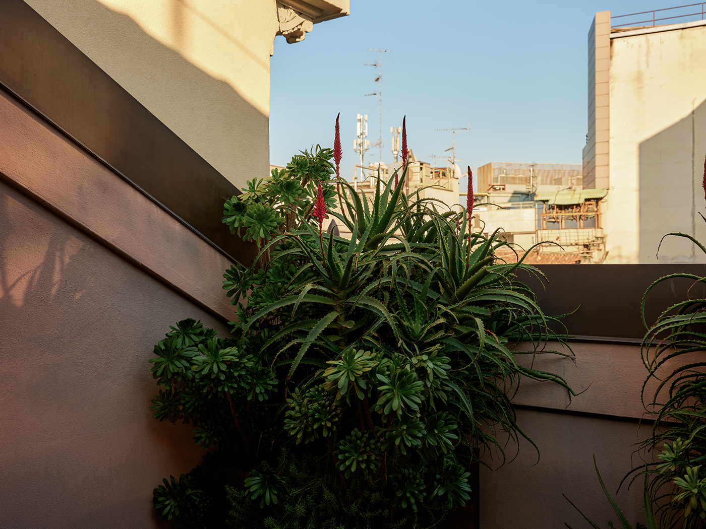 Straf Wow Terrace Suite R V2 06