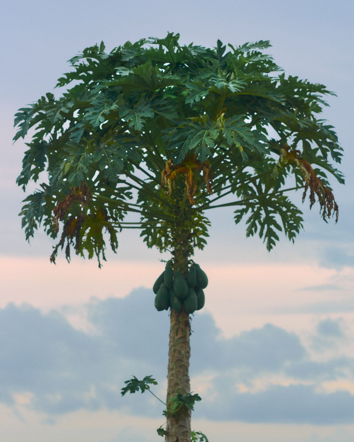 Destination Lombok Image 12.1