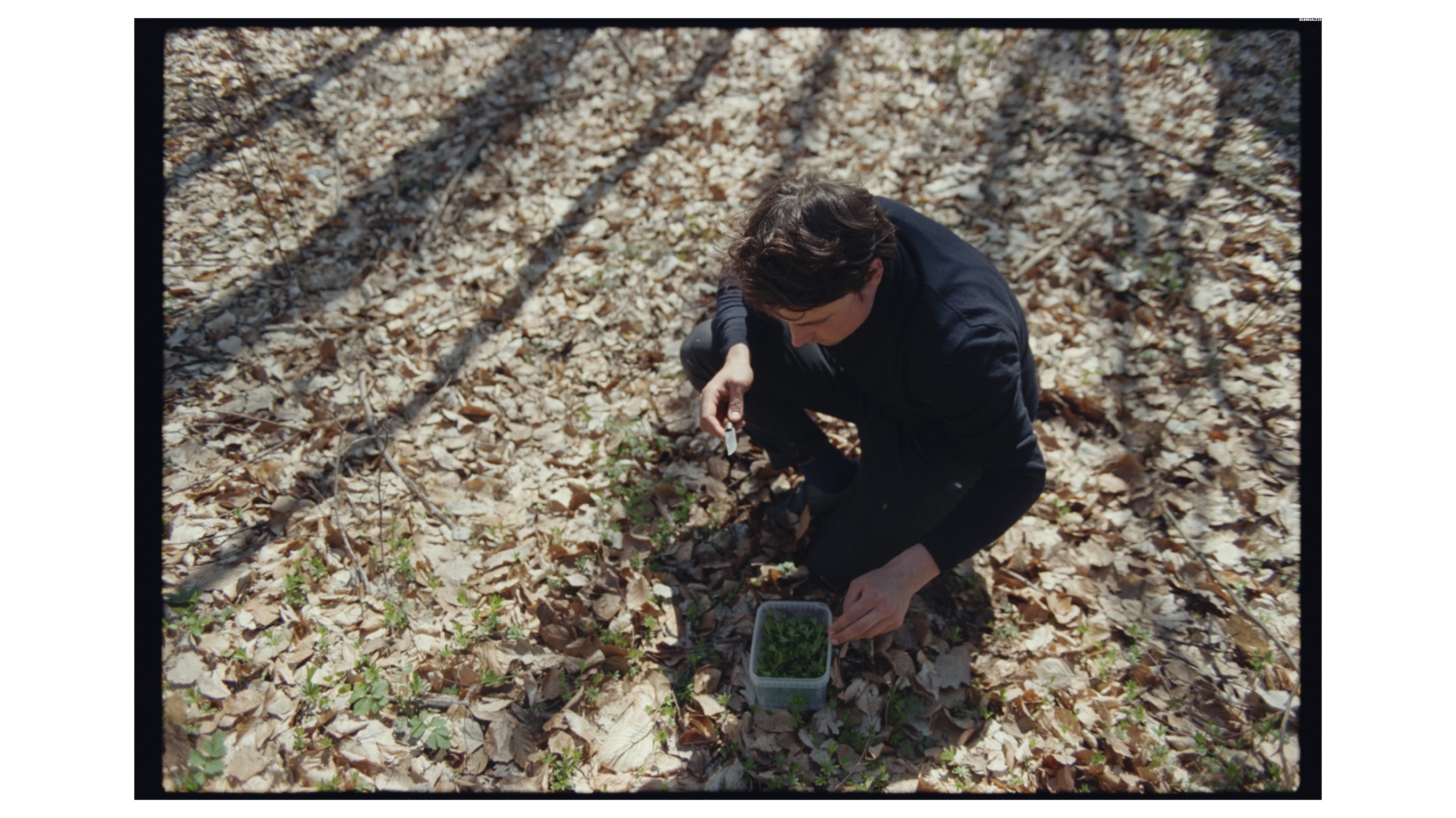 Microsoftteams Image (29)