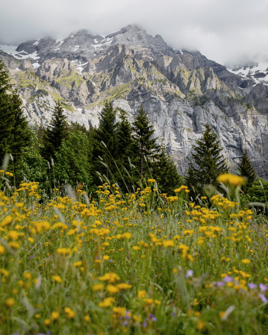 Destination Switzerland 11