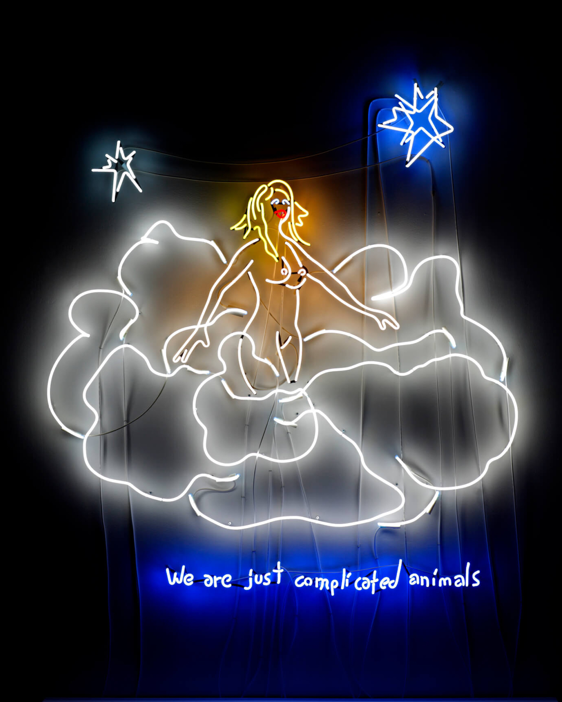 11 Howard Theme Box 1 03