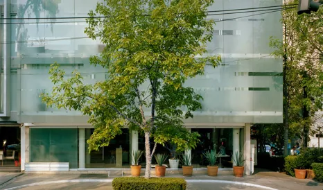 Habita Facade in Mexico City