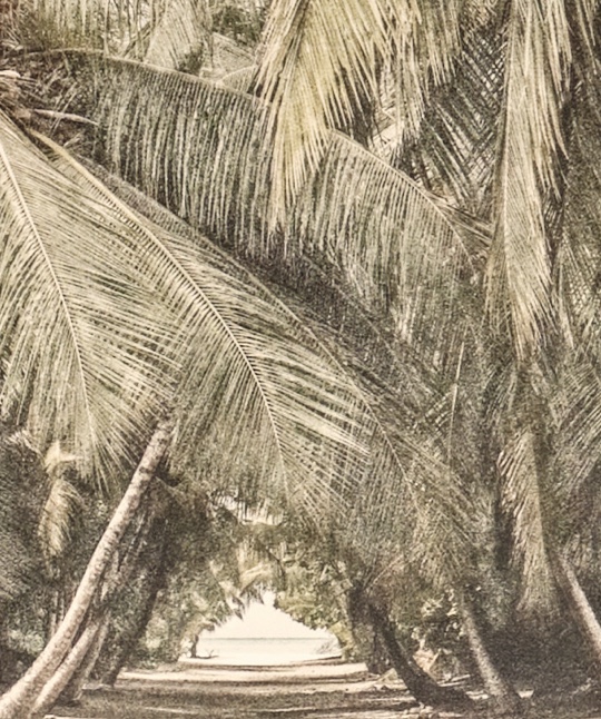 BP Patina Maldives 007