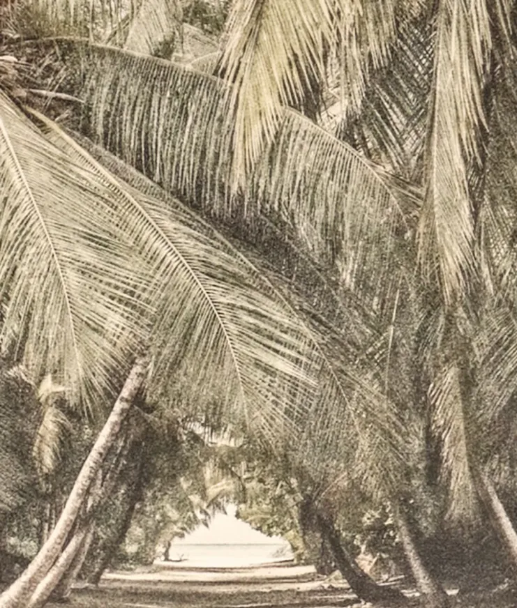 BP Patina Maldives 007