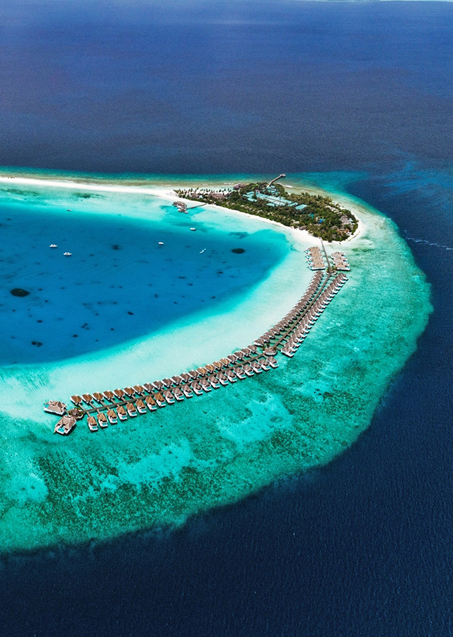 Directions D Take Fewer Trophies