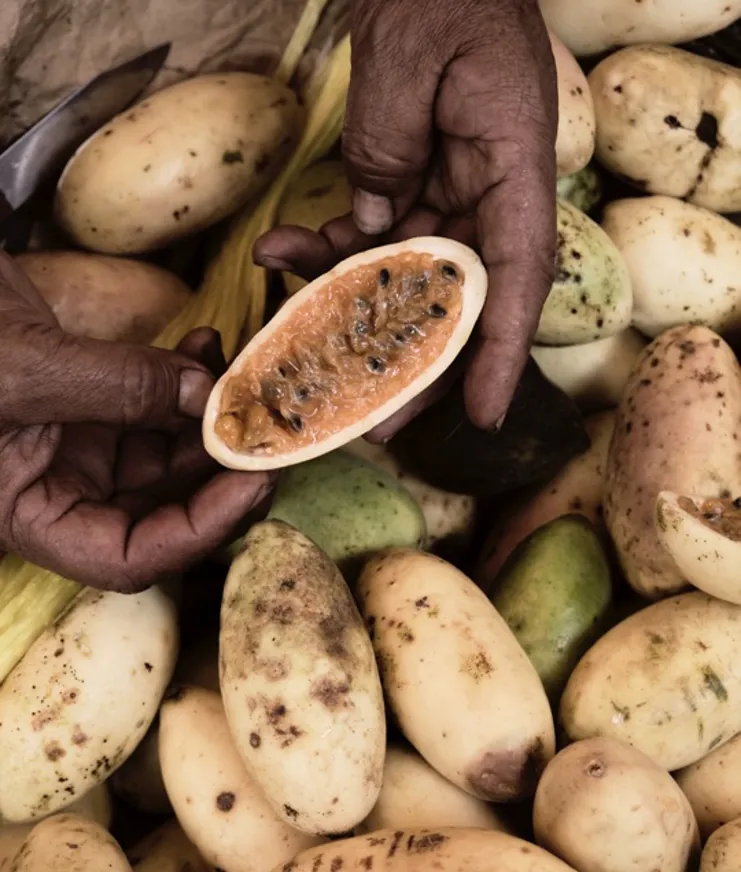 BP Beautiful Gardens 05