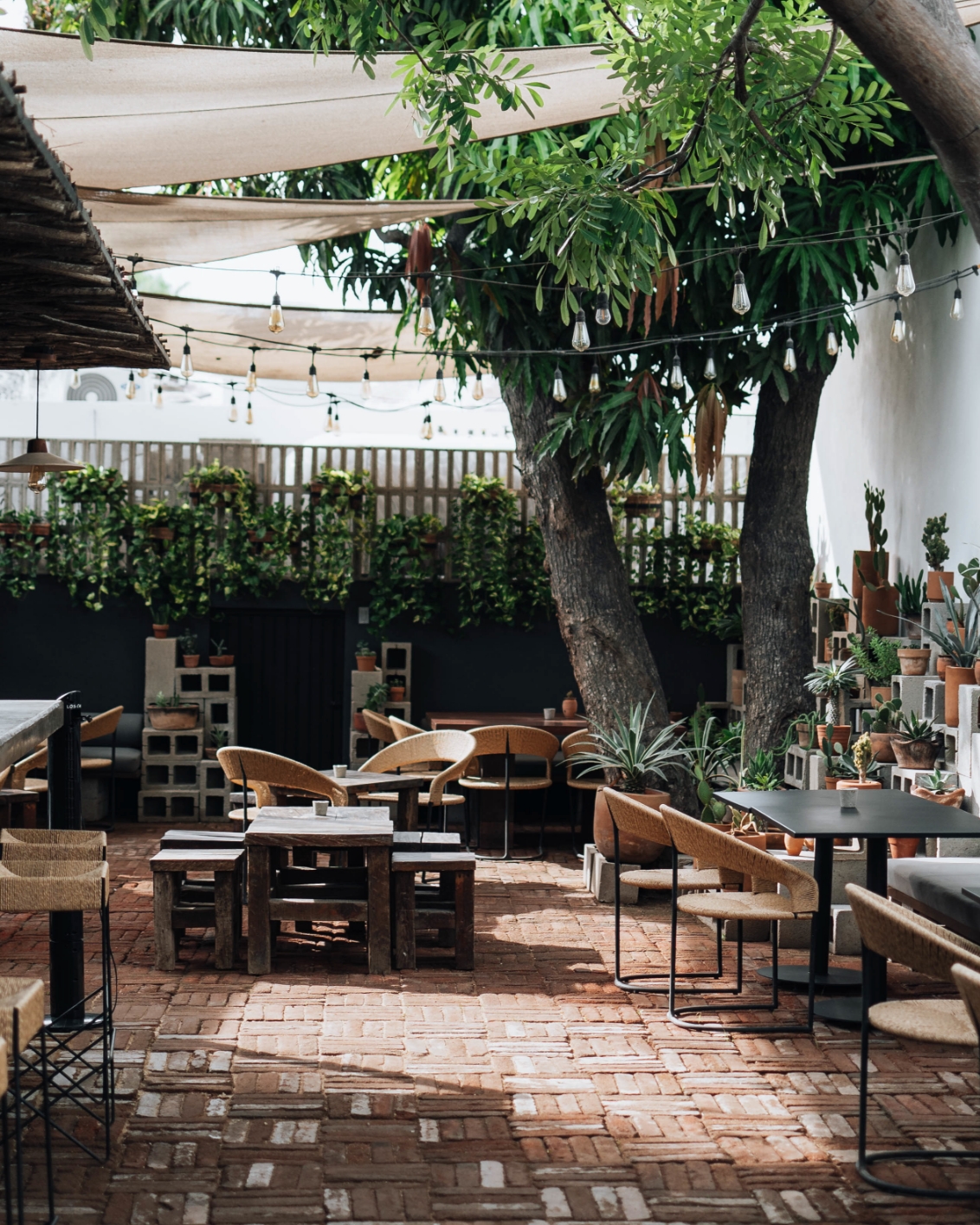 Drift San Jose Cabo Theme Box 1 Food And Drink 02