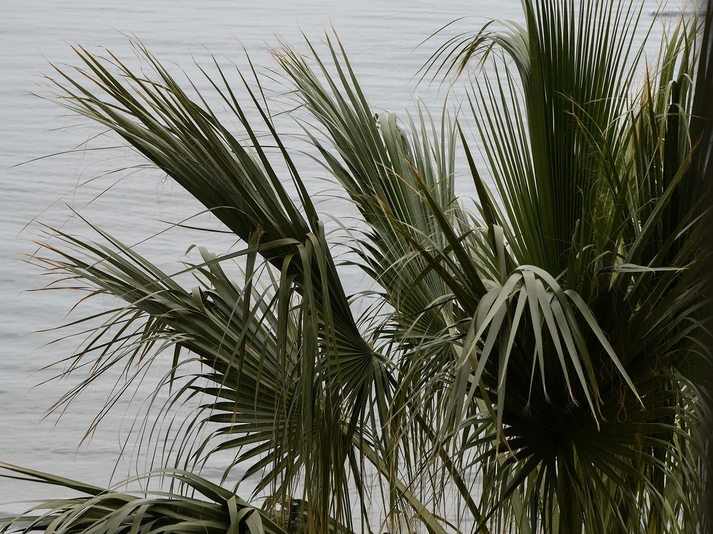 Hotel Windsor Wellness Room V2 R 02