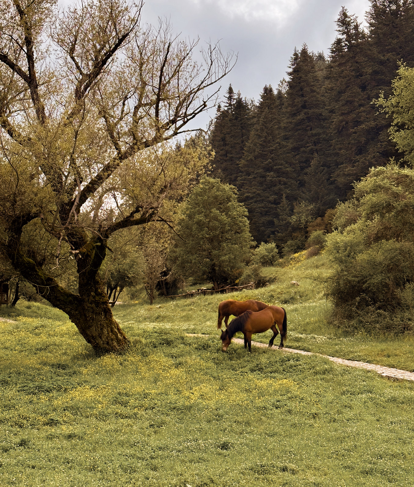 Manna Interior Outdoor 01