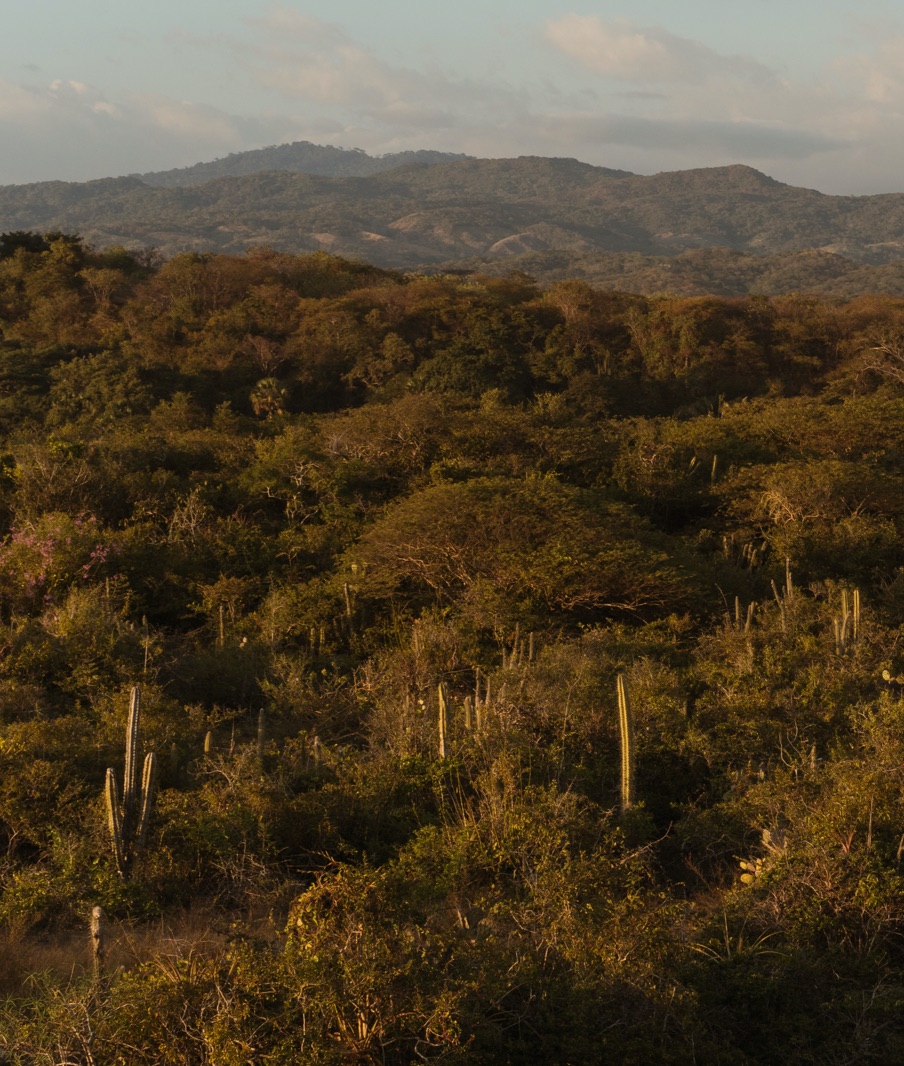 Hotel Terrestre Theme Box 02 Destination