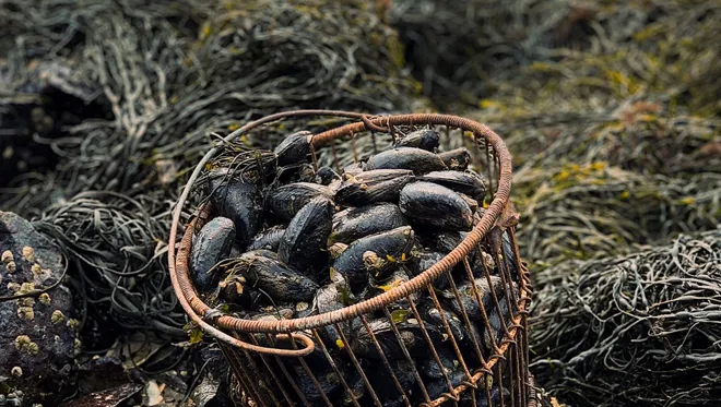 05 Destination Portugal Algarve East Mussels