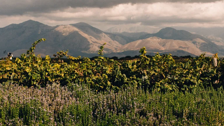 019 MBO Minos Art Beach