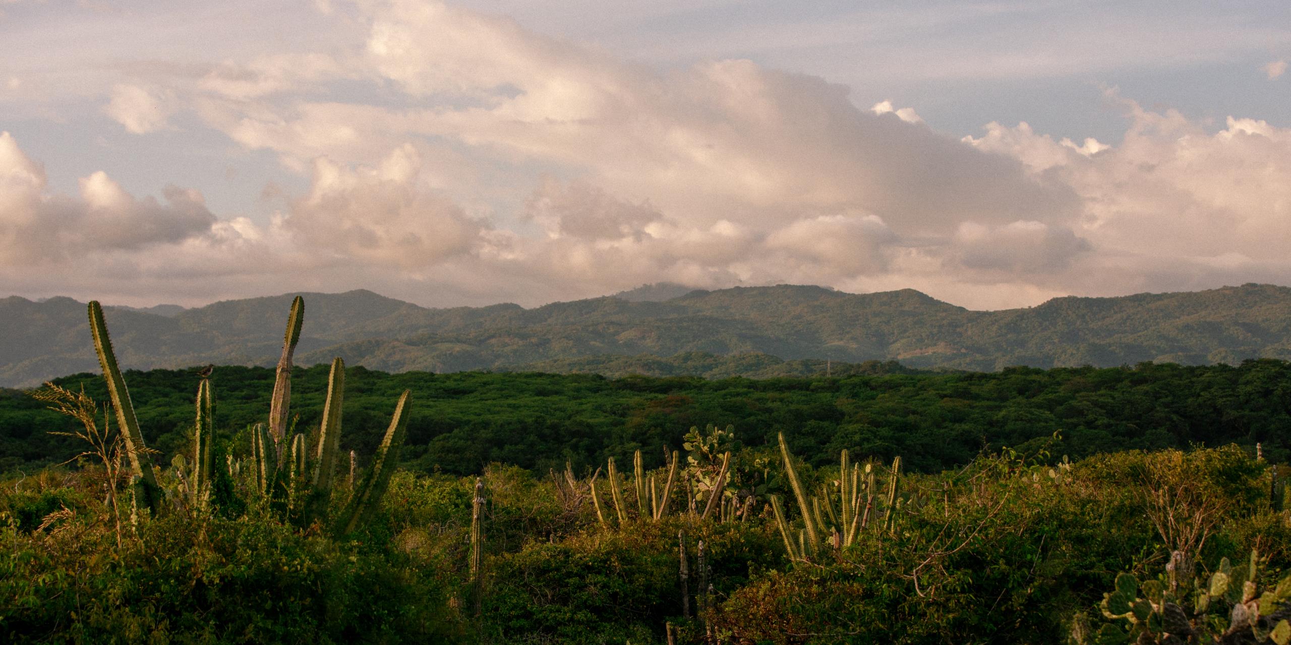 001 Mexico II Puerto Escondido Header