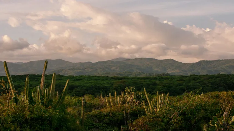 001 Mexico II Puerto Escondido Header