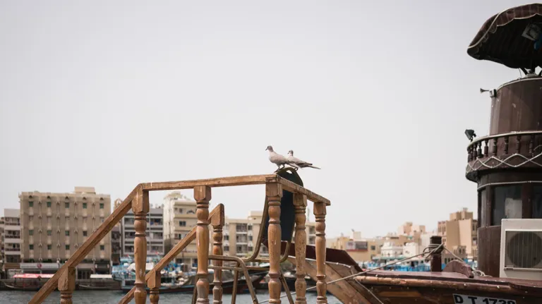 Form Hotel Dubai Theme Box 1