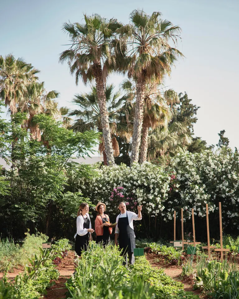 DH Community Blog Cretan Malia Park Culinary Chronicles Chef Lefteris Iliadis 07