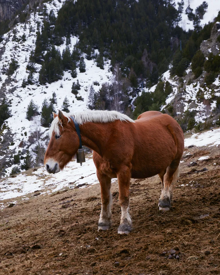 20 How To Travel In 2021