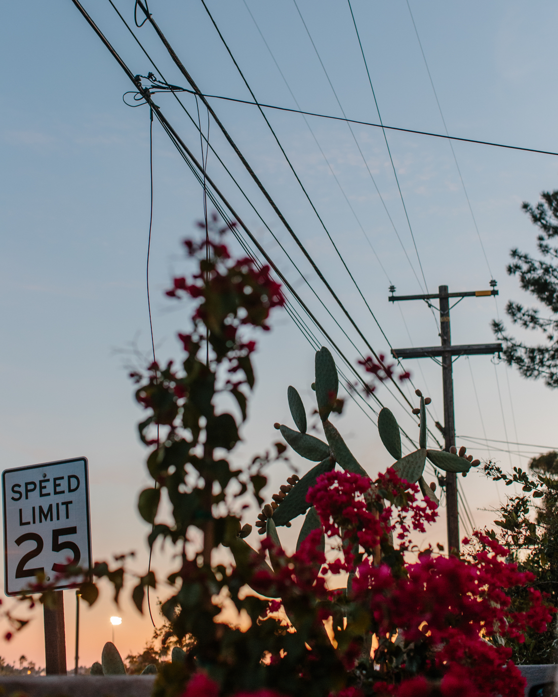 17 Destination Us West Coast (1)