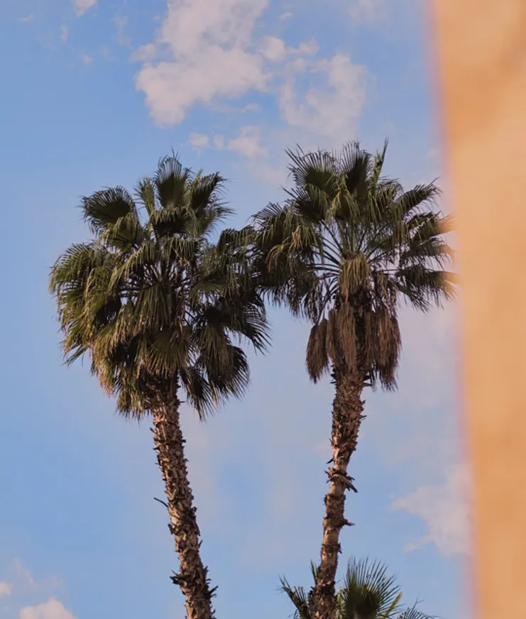 Further Marrakech Mbarek Bouhchichi 08