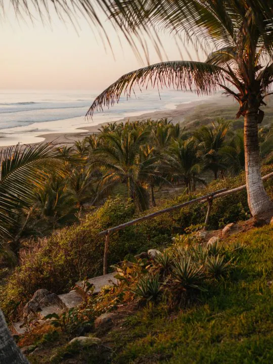 15 Female Wellness Hotelito By MUSA Beach