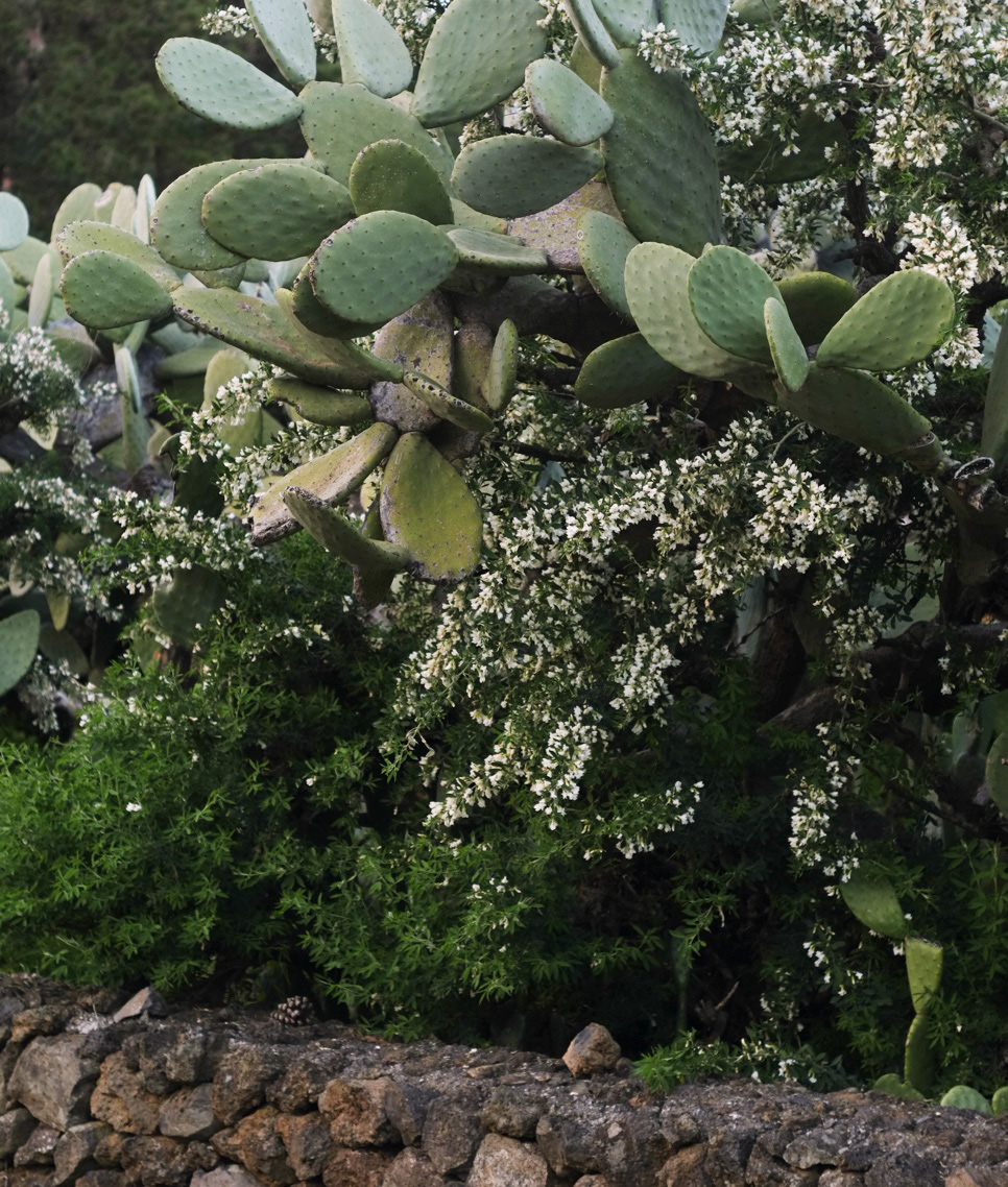 BP My Private Oddyssey 09