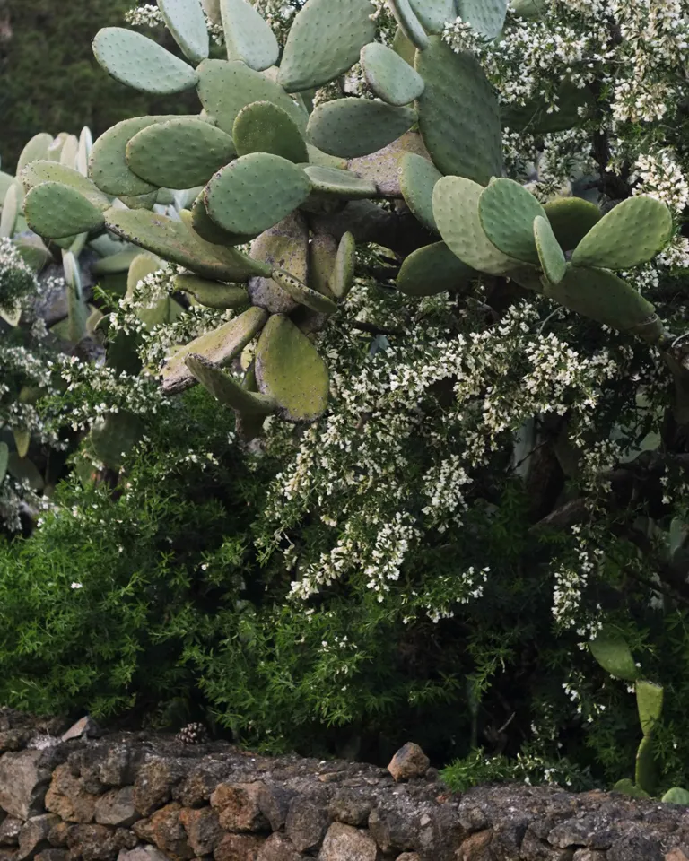 BP My Private Oddyssey 09