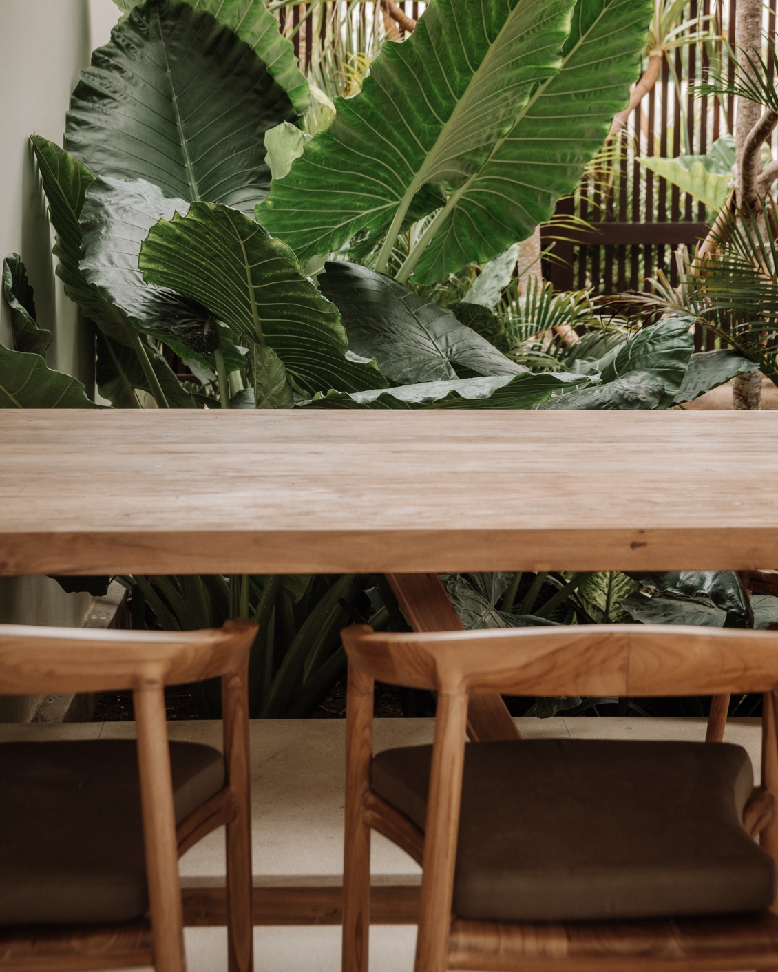 05 SP DH Lombok Somwhere