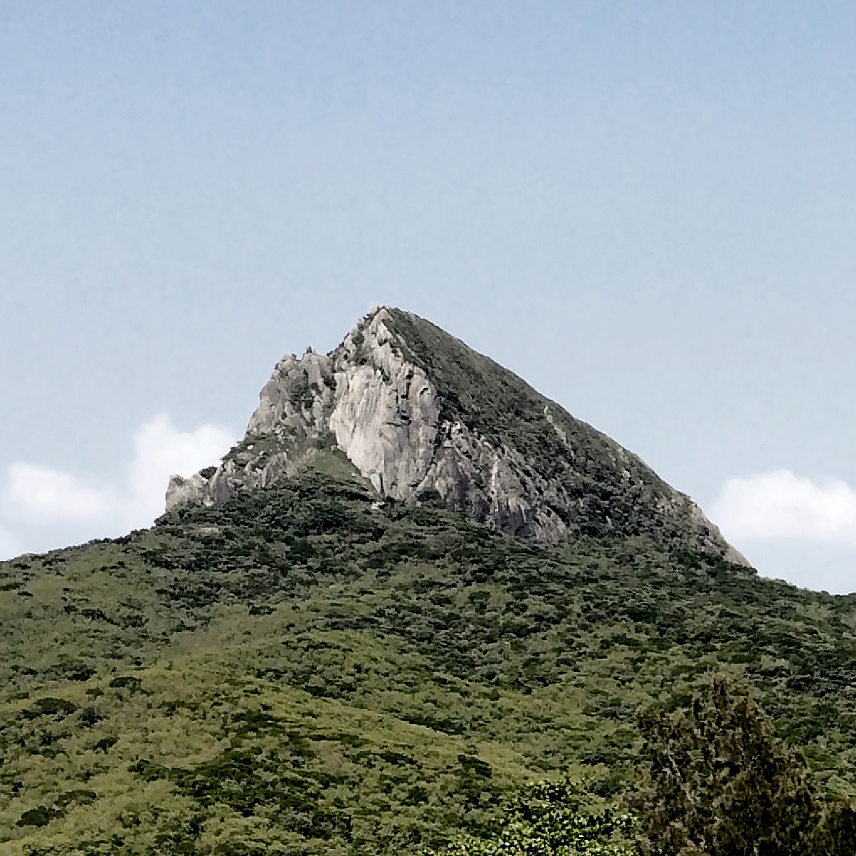 Sustainable Gloria Manor A