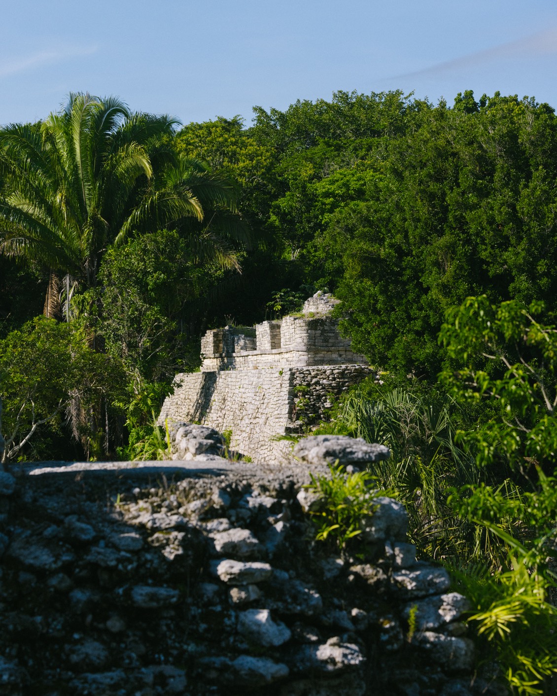 006 Rodrigo Juarez Kohunlich Carousel 03